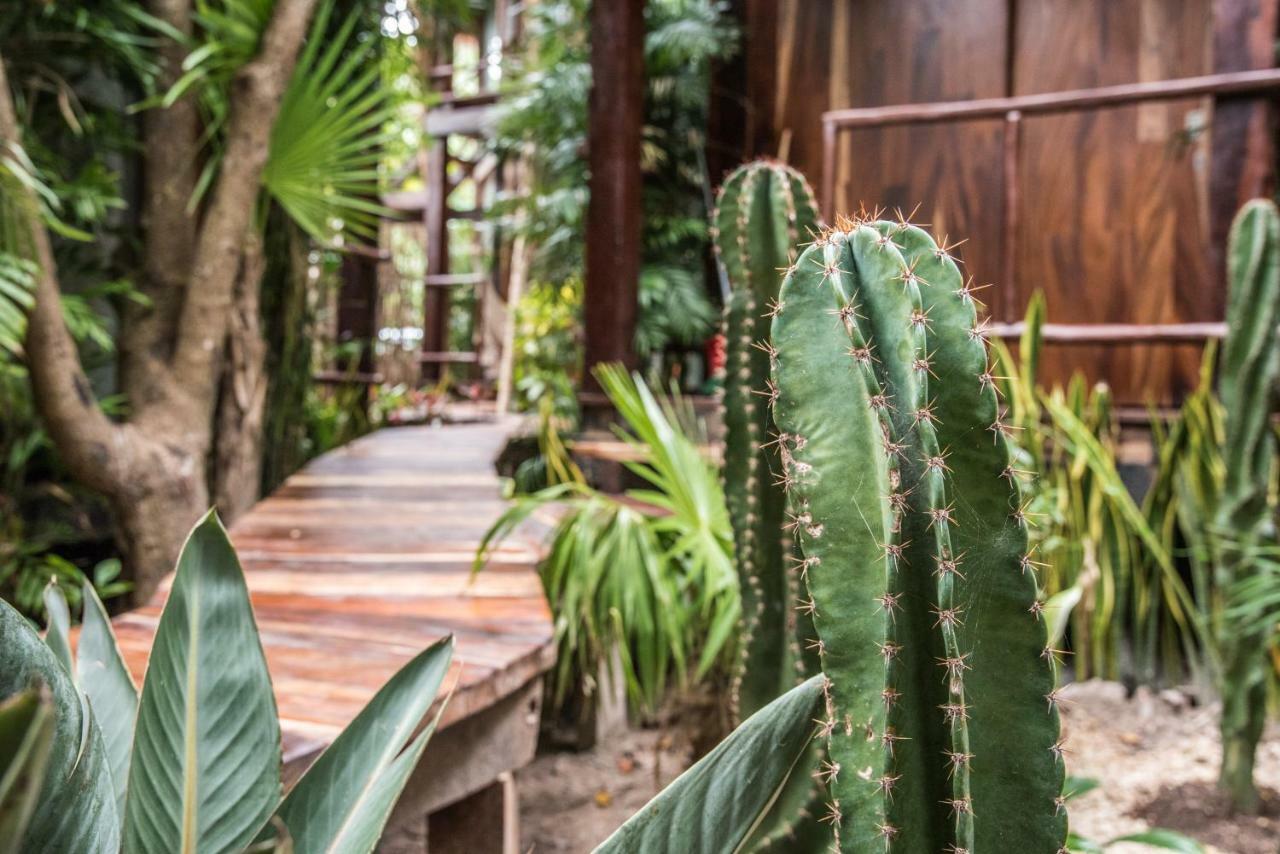Origen Tulum Exterior foto